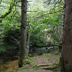 Le Des Forets Enchantees 펜션