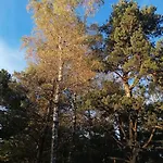 Le Des Forets Enchantees 펜션 Saint-Anthème