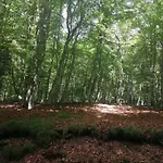 Le Des Forets Enchantees 펜션 *