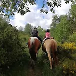 Le Des Forets Enchantees *
