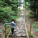 Le Des Forets Enchantees * Saint-Anthème