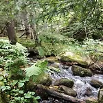 Le Des Forets Enchantees