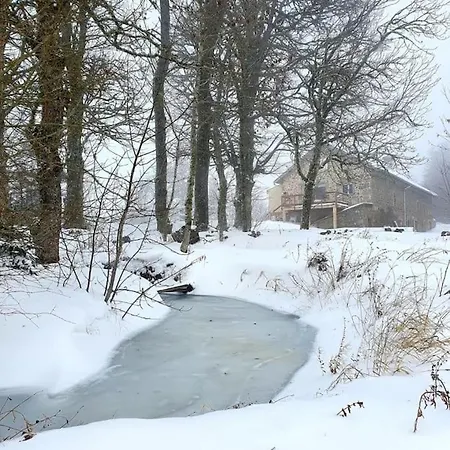 Le Des Forets Enchantees