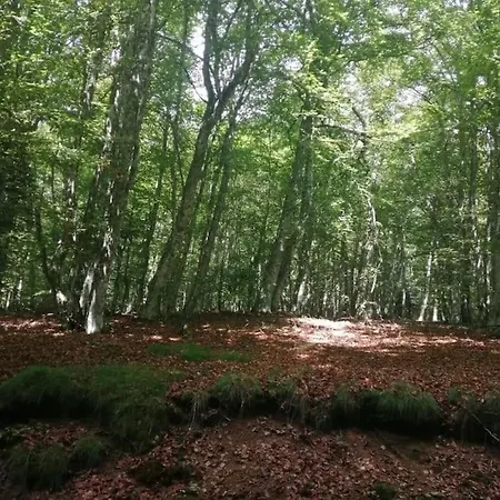 Le Des Forets Enchantees Holiday home *