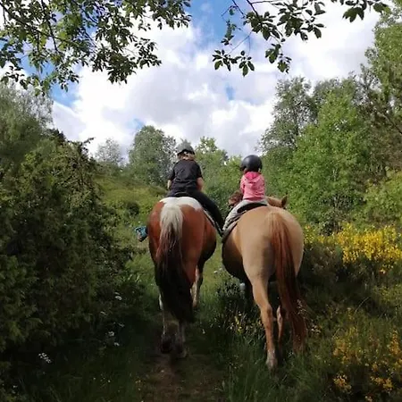 Le Des Forets Enchantees *