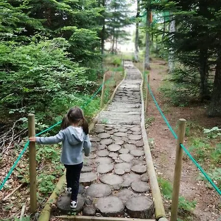 Le Des Forets Enchantees * Saint-Antheme